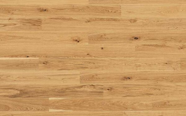 Tarkett Pure DUB RUSTIC PLANK XT 7879004