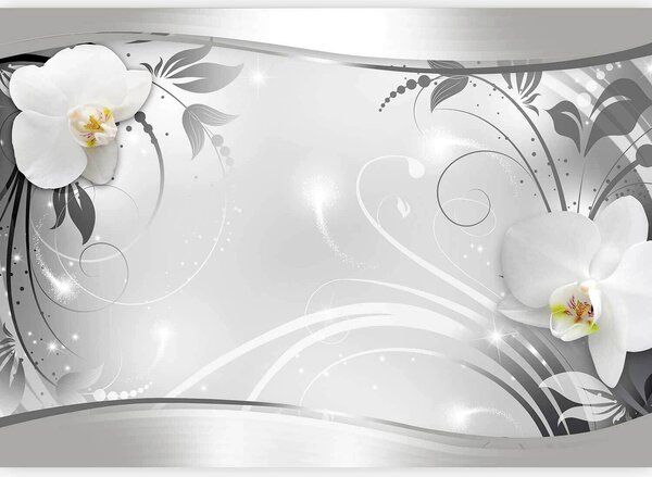 FOTOTAPETA velikost: 150/105 cm artgeist - Online Only bytové doplnky, Online Only
