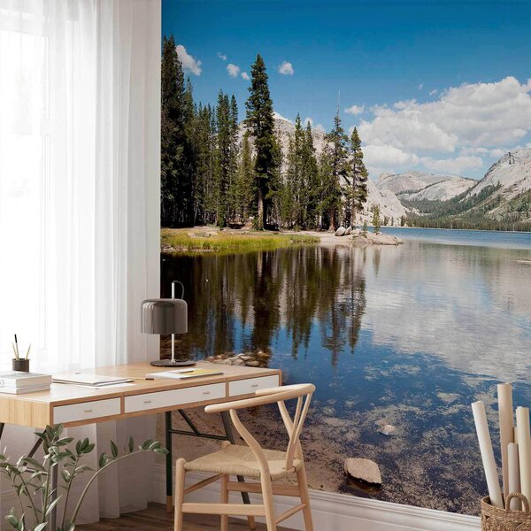 FOTOTAPETA velikost: 150/105 cm artgeist - Online Only bytové doplnky, Online Only
