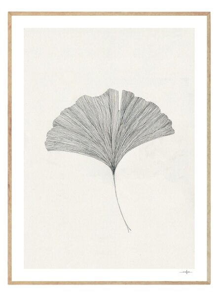 Autorský plagát Ginkgo Leaf by Ana Frois A4