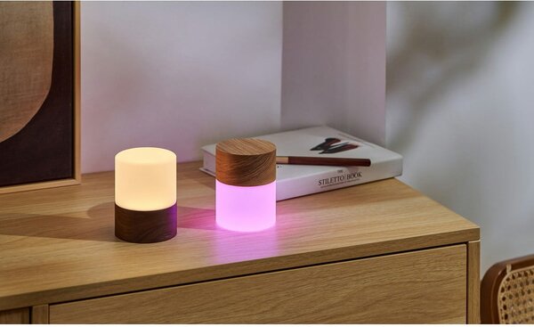 Stmievateľná stolová lampa v prírodnej farbe so skleneným tienidlom (výška 10,5 cm) Lemelia - Gingko