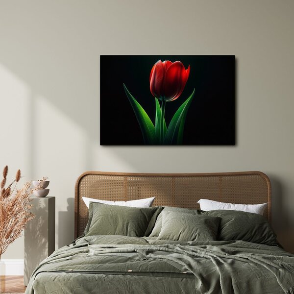 Obraz červená tulipánová elegancia