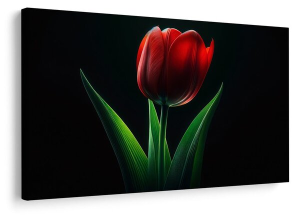 Obraz červená tulipánová elegancia