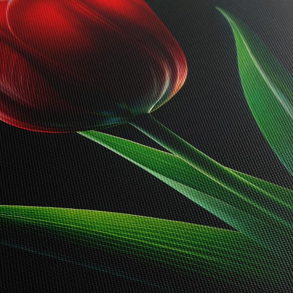 Obraz červená tulipánová elegancia