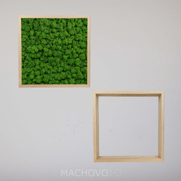 Machovo policová zostava - štvorcová dvojica lišajník