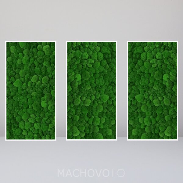 Machová zostava - obdĺžniková trojica - kopcovitý mach