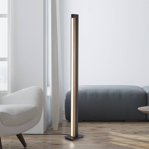 LED stojacia lampa PURE Lines, čierna, drevo, diaľkové ovládanie, 140 cm, Svetlé drevo, Obývacia izba / jedáleň, Drevo