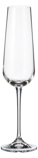 BOHEMIA ARDEA POHÁR NA ŠAMPANSKÉ 220ML SADA 6 KS