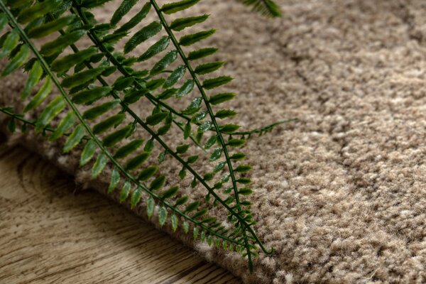 Koberec DUNE WOOL 497 03 TM620 hnedý