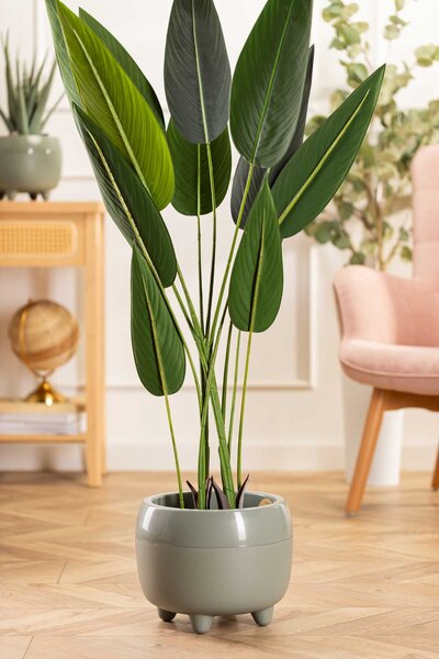 PLASTOVÝ KVETINÁČ BOTANICA 30X24 CM ZELENÁ