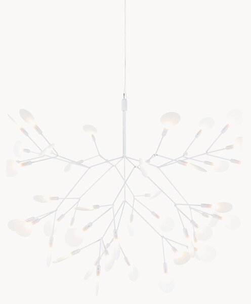 Stmievateľné závesné LED svietidlo Heracleum III