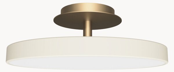 Stmievateľné stropné LED svietidlo Asteria Up Plus Mini