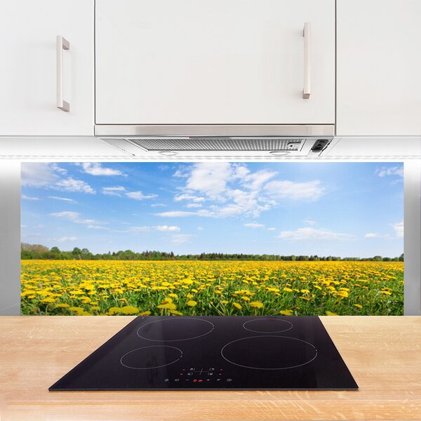 Nástenný panel  Púpava príroda 125x50 cm