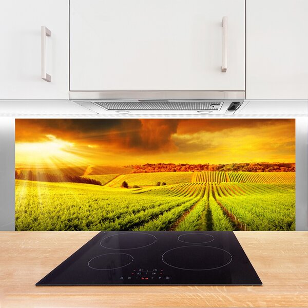 Nástenný panel  Pole západ slnka krajina 125x50 cm