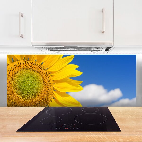 Nástenný panel  Slnečnica mraky 125x50 cm