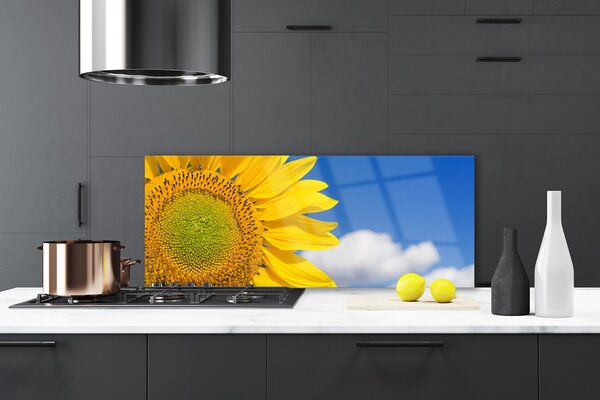 Nástenný panel  Slnečnica mraky 125x50 cm