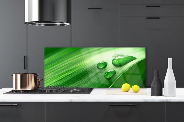Nástenný panel  List voda kvapka 125x50 cm