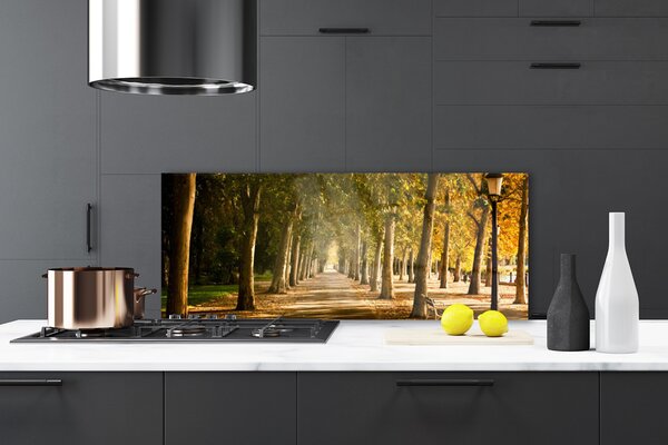 Nástenný panel  Park alej príroda 125x50 cm