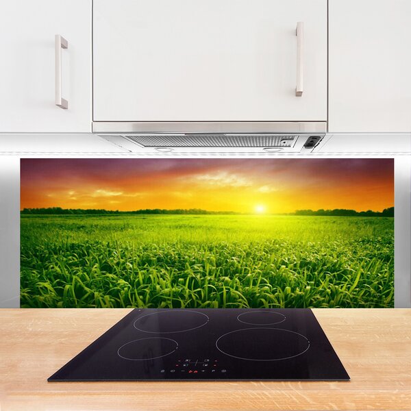 Nástenný panel  Obilie pole východ slnka 125x50 cm