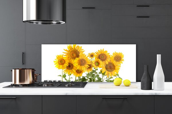 Nástenný panel  Slnečnica 125x50 cm