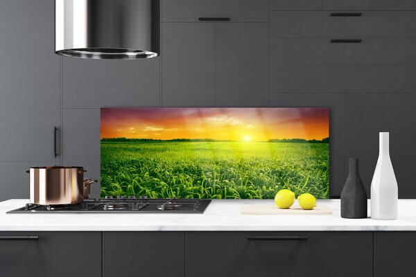 Nástenný panel  Obilie pole východ slnka 125x50 cm