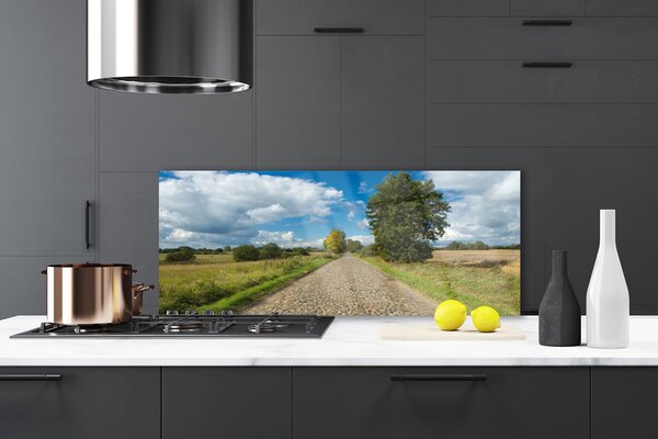 Nástenný panel  Dedina cesta dlažba krajina 125x50 cm