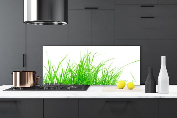 Nástenný panel  Tráva 125x50 cm