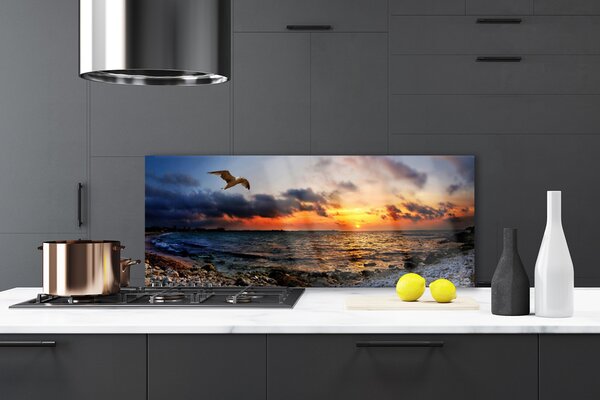 Nástenný panel  Čajka more pláž krajina 125x50 cm