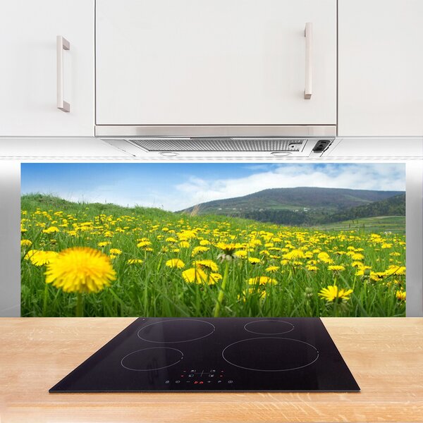 Nástenný panel  Púpava príroda 125x50 cm