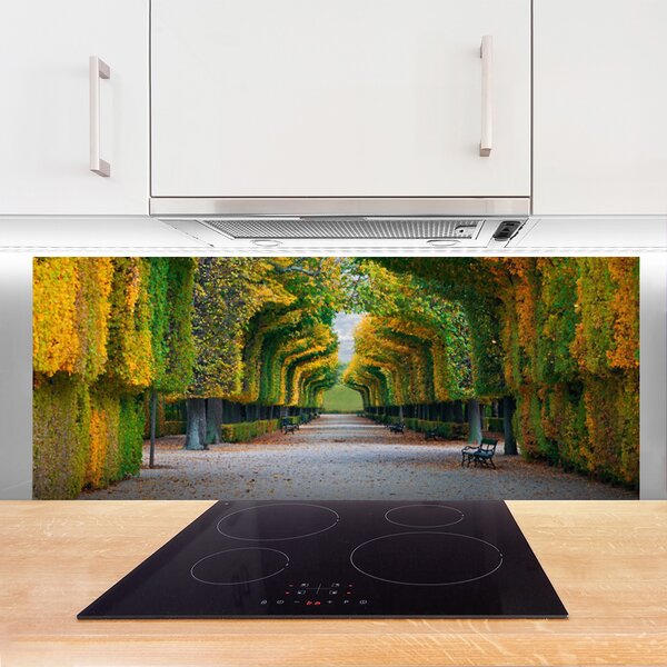 Nástenný panel  Park jeseň záhrada príroda 125x50 cm