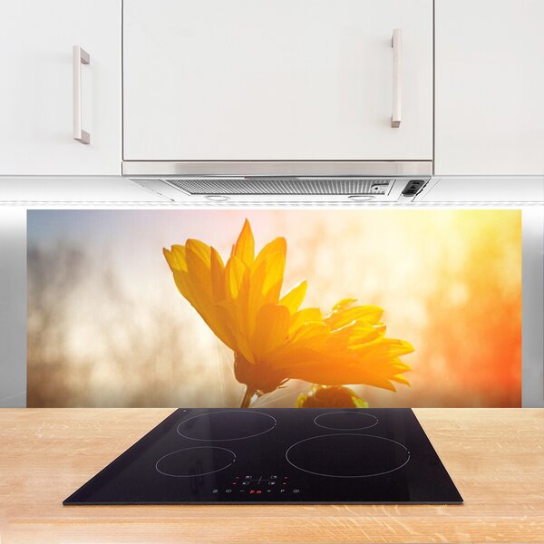 Nástenný panel  Slnečnica 125x50 cm