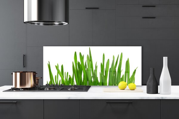 Nástenný panel  Tráva 125x50 cm