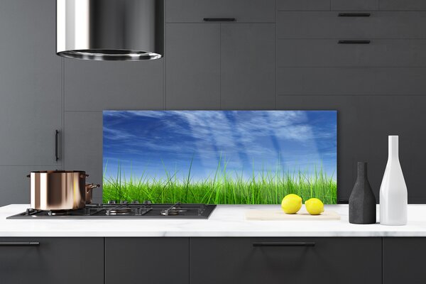 Nástenný panel  Nebo tráva príroda 125x50 cm