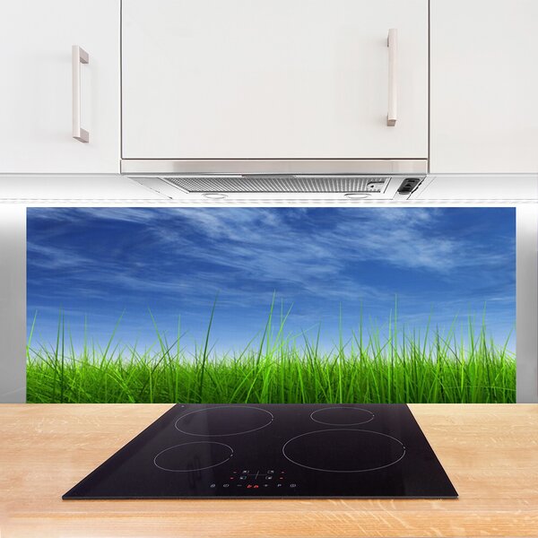 Nástenný panel  Nebo tráva príroda 125x50 cm