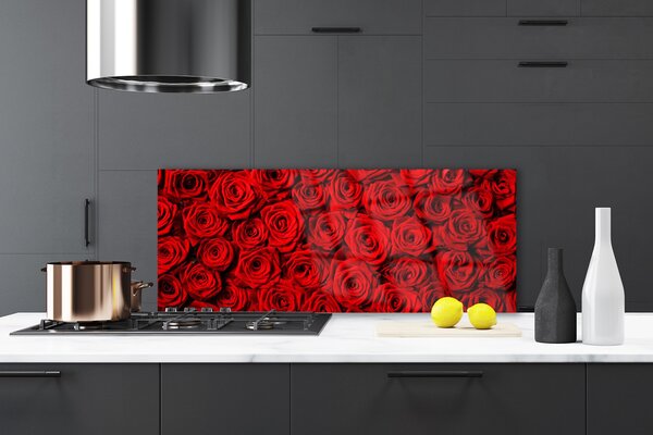 Nástenný panel  Ruže 125x50 cm