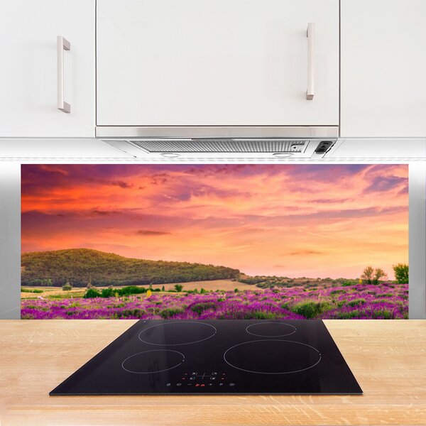 Nástenný panel  Lúka kvety príroda 125x50 cm