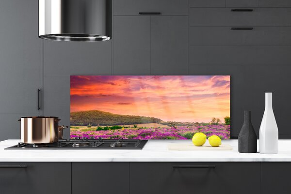 Nástenný panel  Lúka kvety príroda 125x50 cm