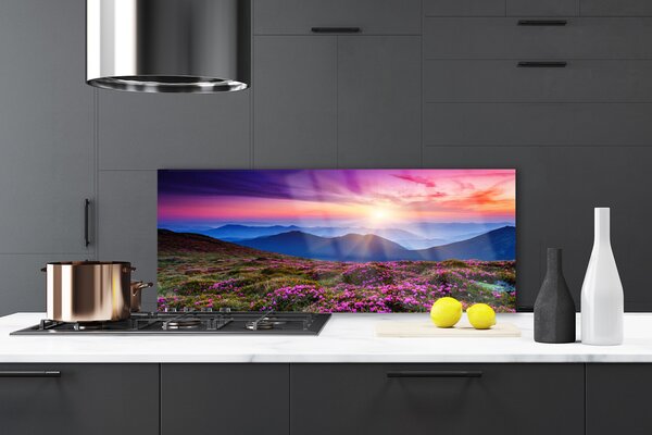 Nástenný panel  Hora lúka kvety príroda 125x50 cm