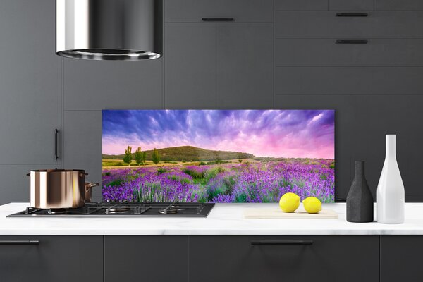 Nástenný panel  Lúka kvety hory príroda 125x50 cm