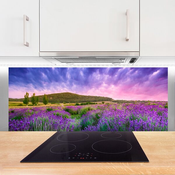 Nástenný panel  Lúka kvety hory príroda 125x50 cm