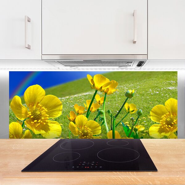 Nástenný panel  Lúka kvety dúha príroda 125x50 cm