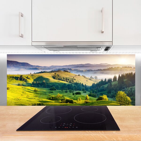 Nástenný panel  Hora pole hmla príroda 125x50 cm
