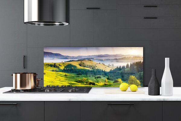 Nástenný panel  Hora pole hmla príroda 125x50 cm