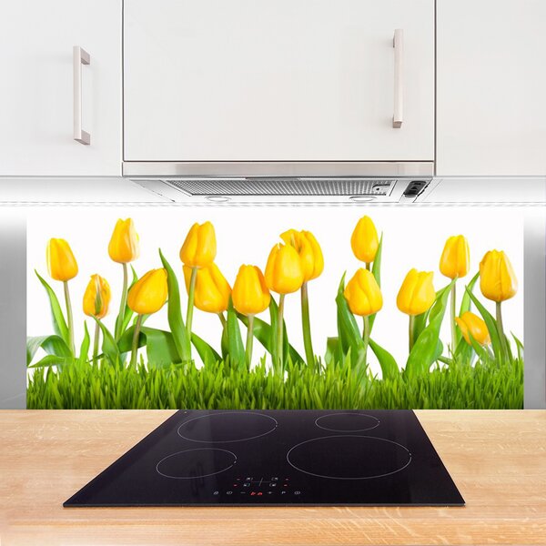 Nástenný panel  Tulipány 125x50 cm