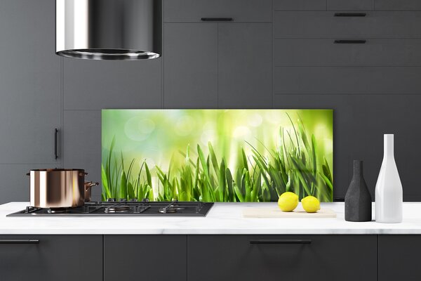 Nástenný panel  Tráva príroda 125x50 cm