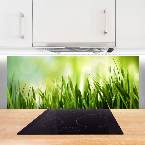 Nástenný panel  Tráva príroda 125x50 cm