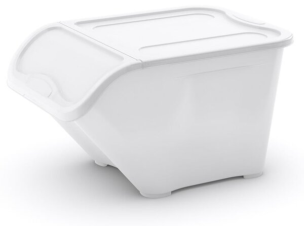Biely plastový úložný box s vekom 55x39x32 cm All In Box – KIS