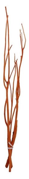 Vetvy Mitsumata 3ks-sv. 80cm - oranžové 381986-04