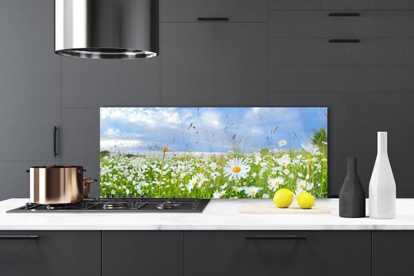 Nástenný panel  Lúka sedmokrásky príroda 125x50 cm