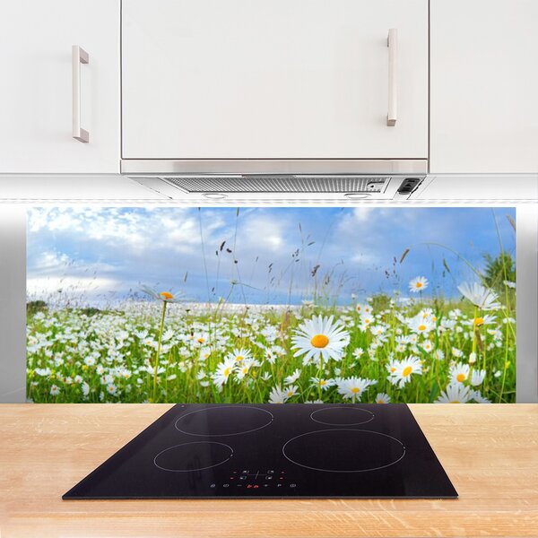 Nástenný panel  Lúka sedmokrásky príroda 125x50 cm